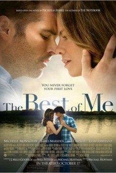 The Best of Me (2014)