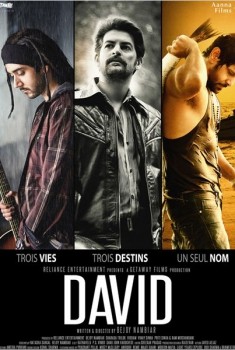 David - Hindi (2013)