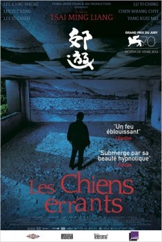 Les Chiens errants (2013)