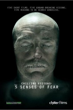 Chilling Visions: 5 Senses of Fear (2013)