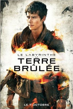 Le Labyrinthe : La Terre brûlée (2015)