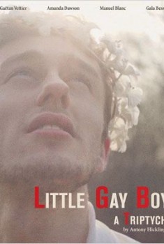 Little Gay Boy (2013)