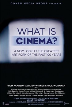 What Is Cinema? (2014)