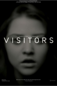 Visitors (2013)