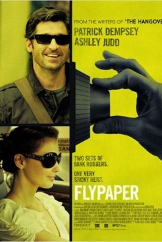 Flypaper (2011)