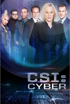 Les Experts Cyber (Séries TV)