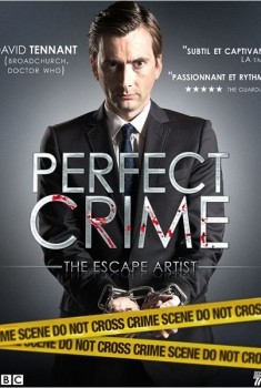 Perfect Crime (Séries TV)