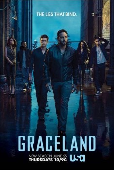 Graceland (Séries TV)