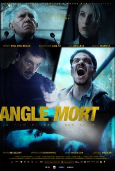 Angle mort (2017)