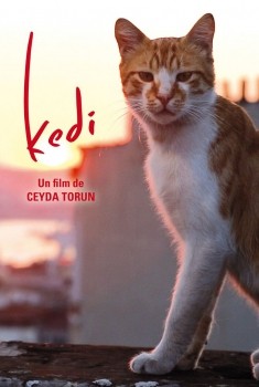 Kedi - Des chats et des hommes (2016)